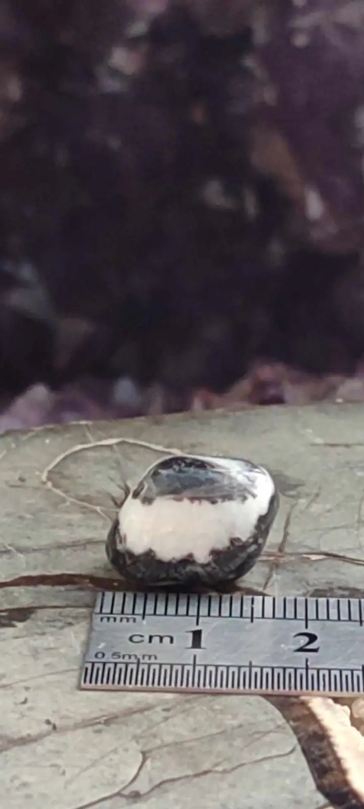 Load image into Gallery viewer, Jaspe zébré du Brésil pierre roulée Grade A++++ Jaspe Zèbre pierre roulée
