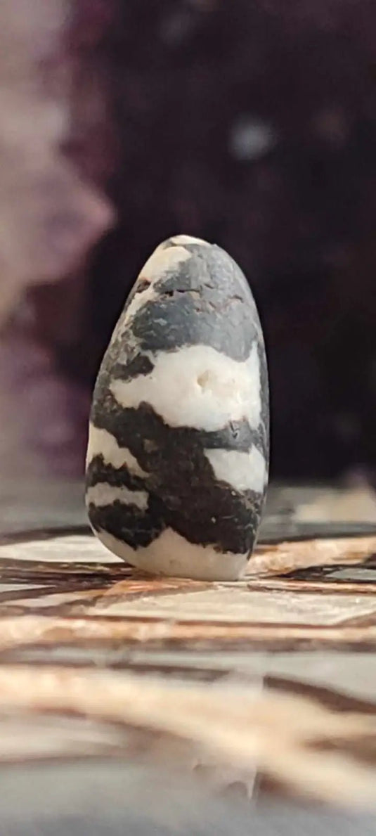 Jaspe zébré du Brésil pierre roulée Grade A++++ Jaspe Zèbre pierre roulée