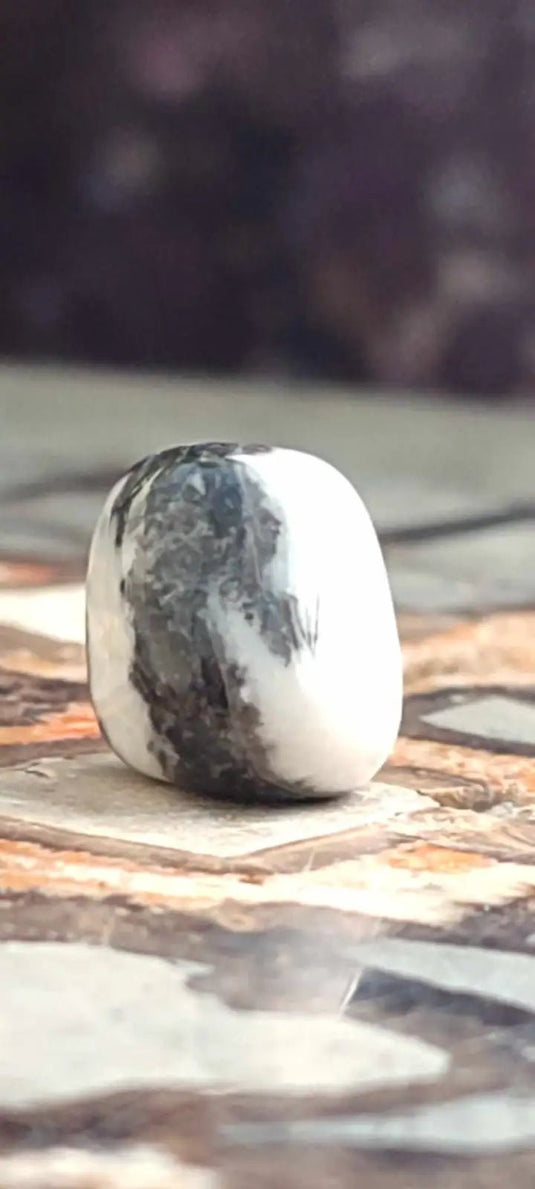 Jaspe zébré du Brésil pierre roulée Grade A++++ Jaspe Zèbre pierre roulée