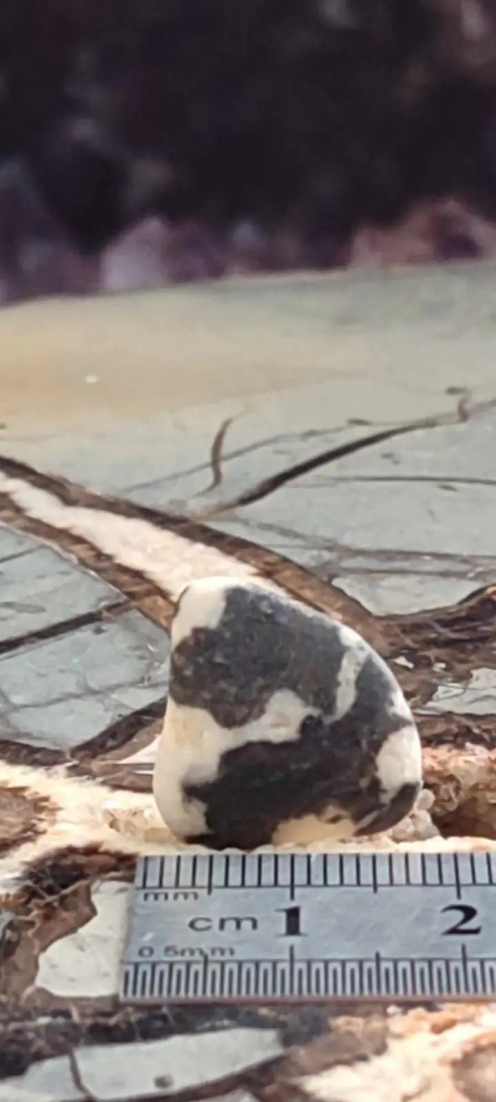 Load image into Gallery viewer, Jaspe zébré du Brésil pierre roulée Grade A++++ Jaspe Zèbre pierre roulée
