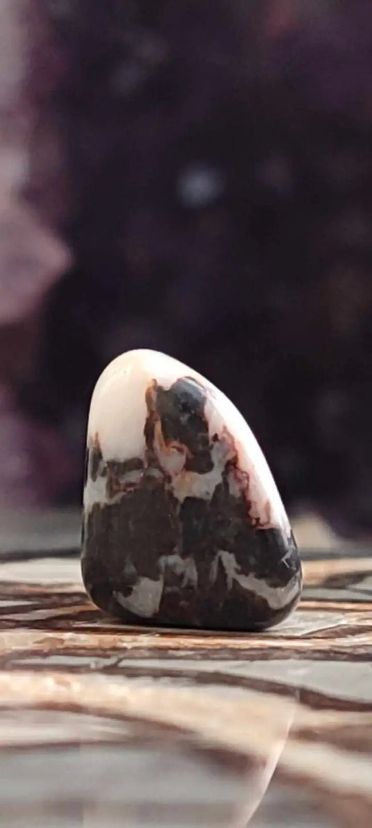 Jaspe Zébré du Brésil pierre roulée Grade A++++ Jaspe Zèbre pierre roulée