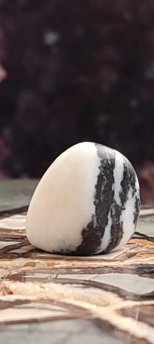 Jaspe zébré du Brésil pierre roulée Grade A++++ Jaspe Zèbre pierre roulée