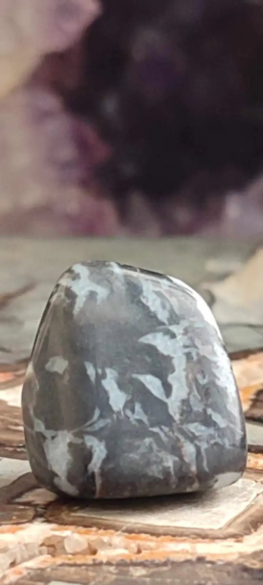 Jaspe zébré du Brésil pierre roulée Grade A++++ Jaspe Zèbre pierre roulée