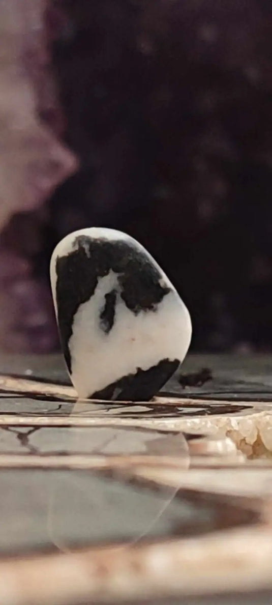 Jaspe zébré du Brésil pierre roulée Grade A++++ Jaspe Zèbre pierre roulée