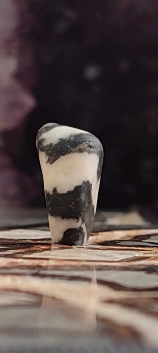 Jaspe zébré du Brésil pierre roulée Grade A++++ Jaspe Zèbre pierre roulée