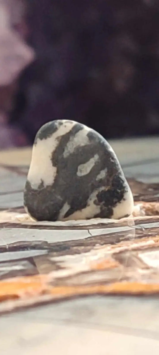 Jaspe zébré du Brésil pierre roulée Grade A++++ Jaspe Zèbre pierre roulée