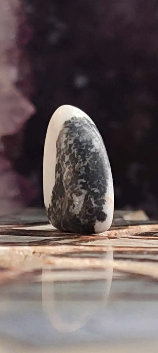 Jaspe zébré du Brésil pierre roulée Grade A++++ Jaspe Zèbre pierre roulée