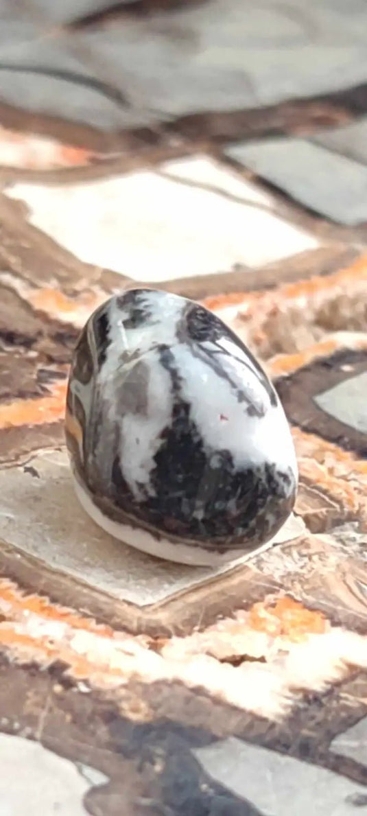 Jaspe zébré du Brésil pierre roulée Grade A++++ Jaspe Zèbre pierre roulée