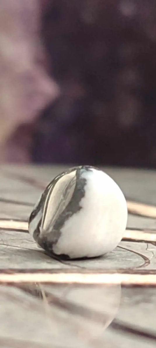 Jaspe zébré du brésil pierre roulée Grade A++++ Jaspe Zèbre pierre roulée