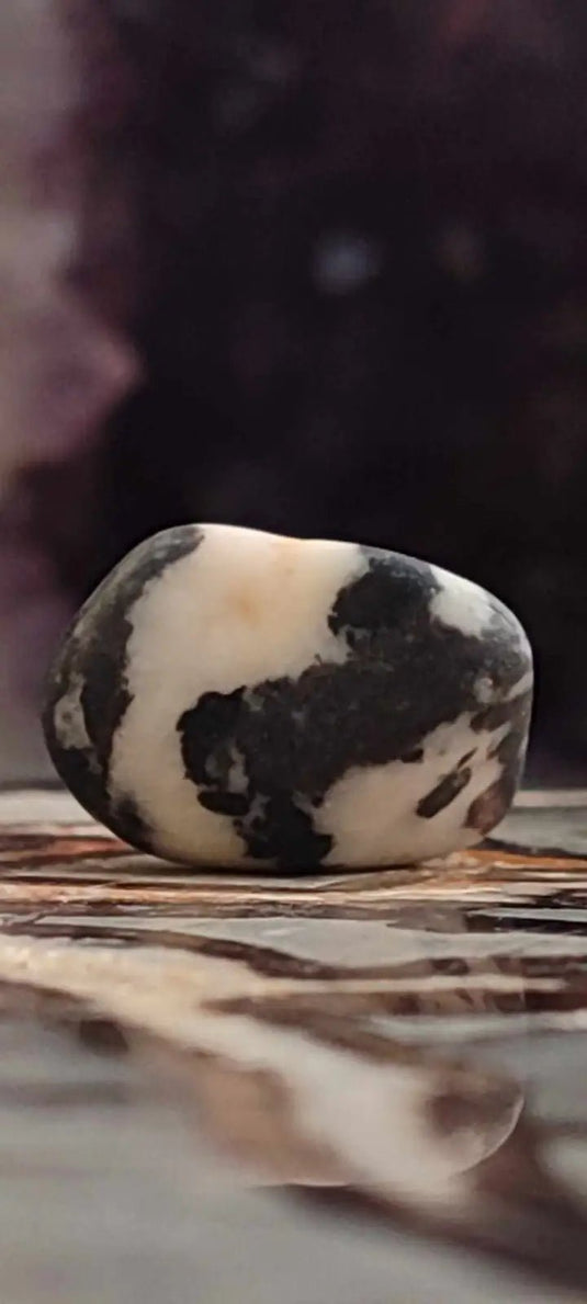 Jaspe zébré du Brésil pierre roulée Grade A++++ Jaspe Zèbre pierre roulée