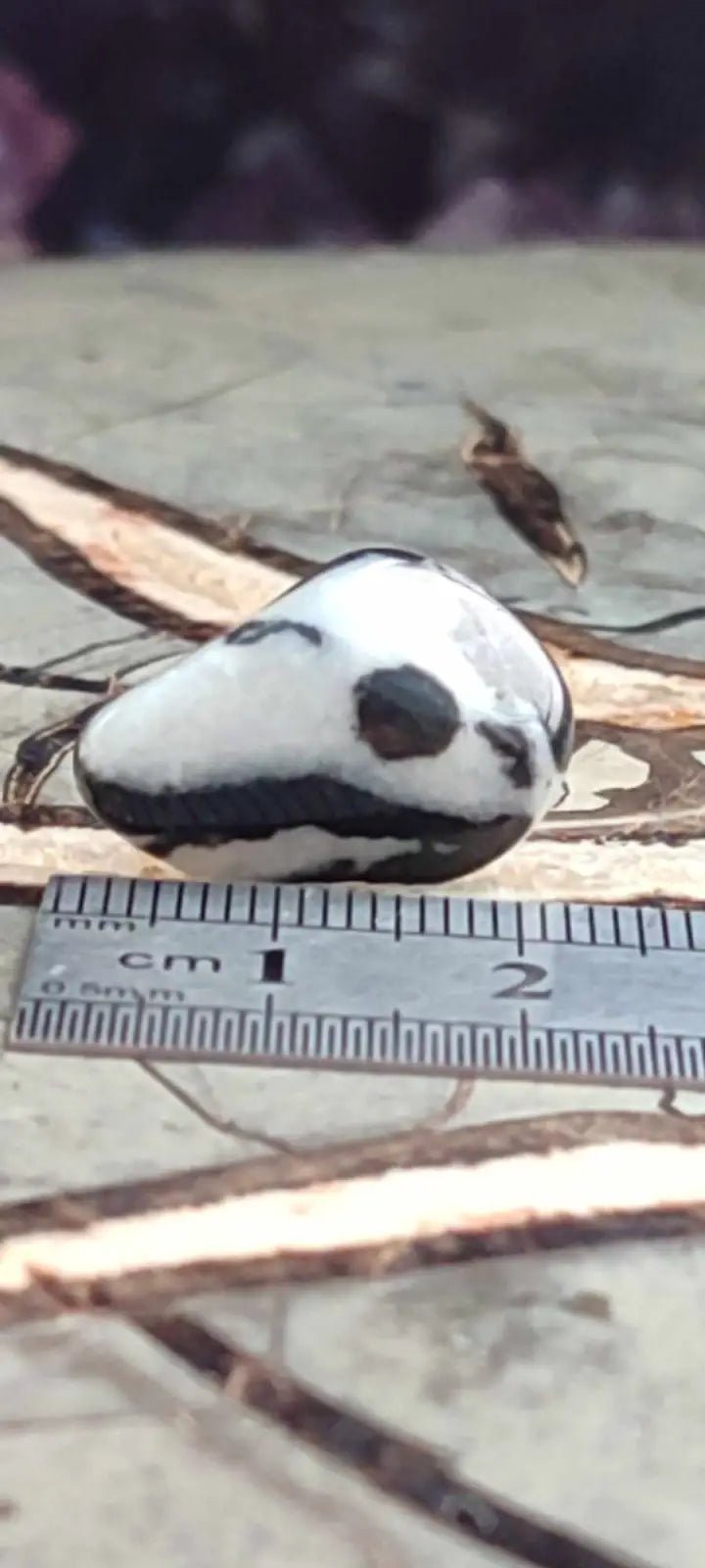 Load image into Gallery viewer, Jaspe zébré du Brésil pierre roulée Grade A++++ Jaspe Zèbre pierre roulée
