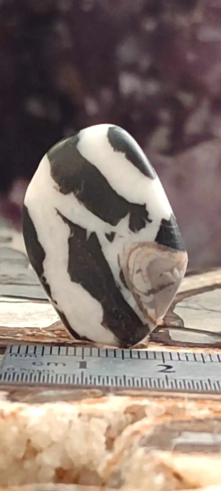 Load image into Gallery viewer, Jaspe zébré du Brésil pierre roulée Grade A++++ Jaspe Zèbre pierre roulée
