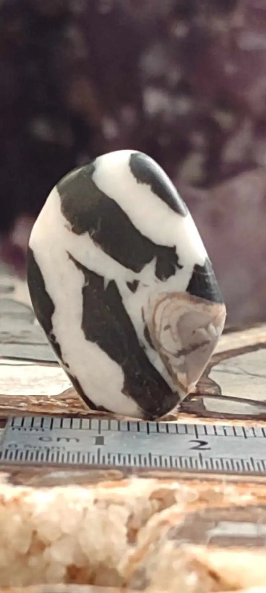 Jaspe zébré du Brésil pierre roulée Grade A++++ Jaspe Zèbre pierre roulée