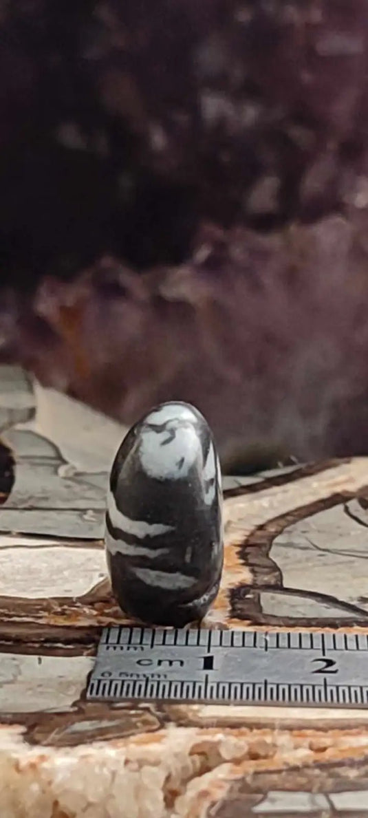 Jaspe zébré du Brésil pierre roulée Grade A++++ Jaspe Zèbre pierre roulée