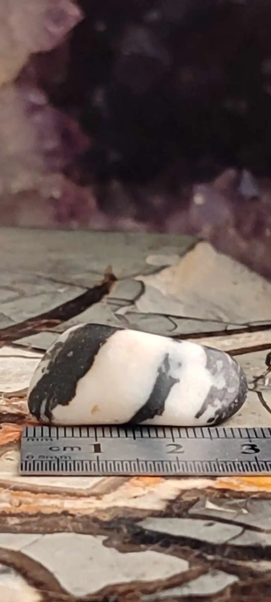 Jaspe zébré du Brésil pierre roulée Grade A++++ Jaspe Zèbre pierre roulée