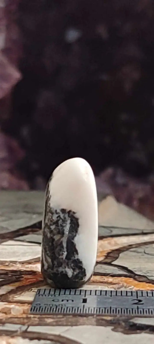 Jaspe zébré du Brésil pierre roulée Grade A++++ Jaspe Zèbre pierre roulée