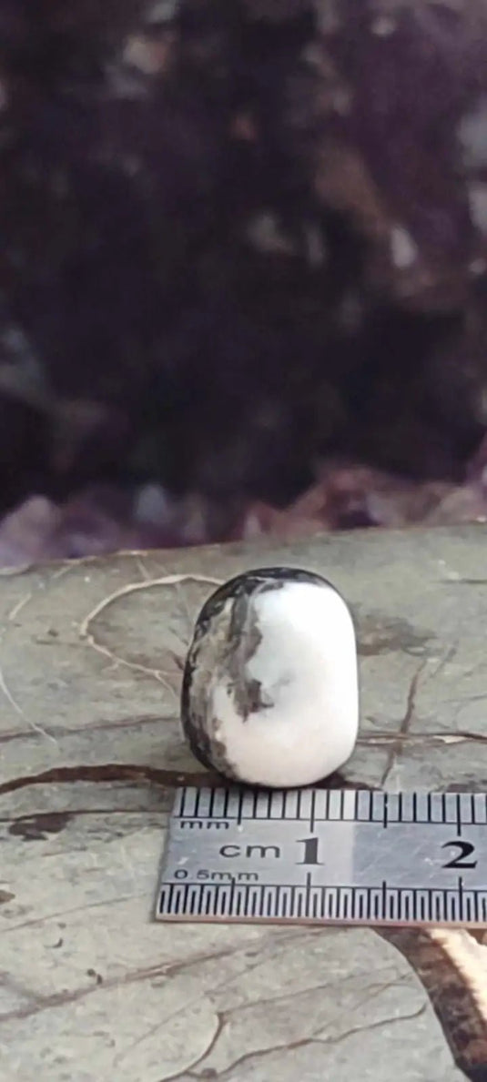 Jaspe zébré du Brésil pierre roulée Grade A++++ Jaspe Zèbre pierre roulée