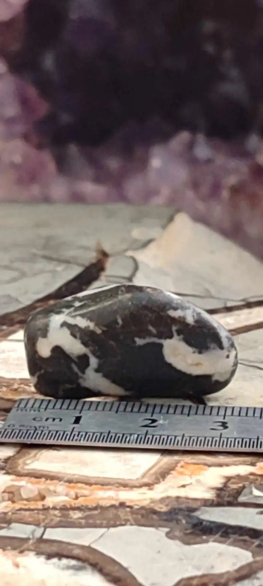 Jaspe zébré du Brésil pierre roulée Grade A++++ Jaspe Zèbre pierre roulée