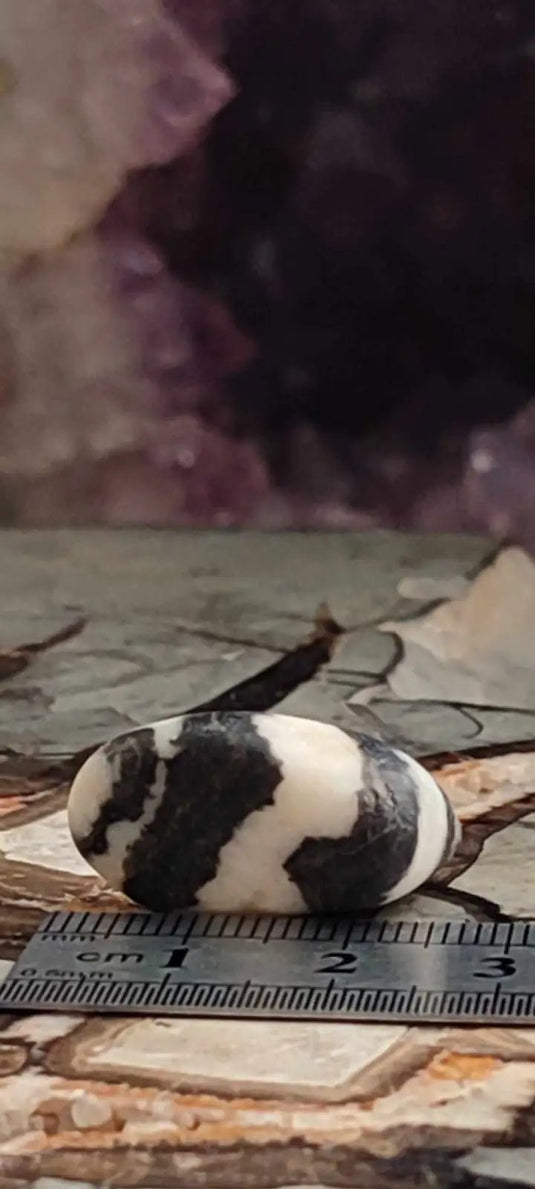 Jaspe zébré du Brésil pierre roulée Grade A++++ Jaspe Zèbre pierre roulée