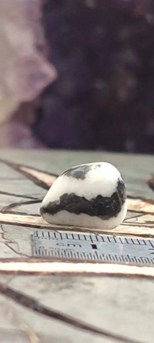 Jaspe zébré du Brésil pierre roulée Grade A++++ Jaspe Zèbre pierre roulée