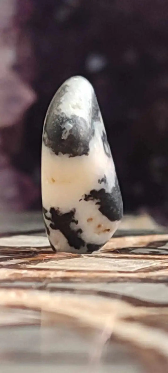 Jaspe zébré du Brésil pierre roulée Grade A++++ Jaspe Zèbre pierre roulée