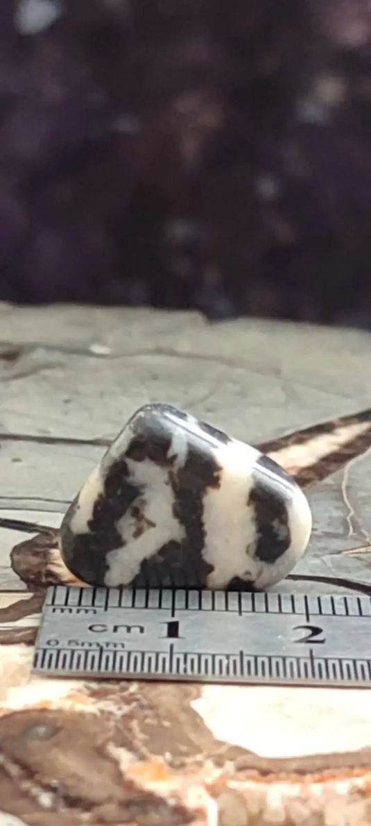 Jaspe zébré du Brésil pierre roulée Grade A++++ Jaspe Zèbre pierre roulée