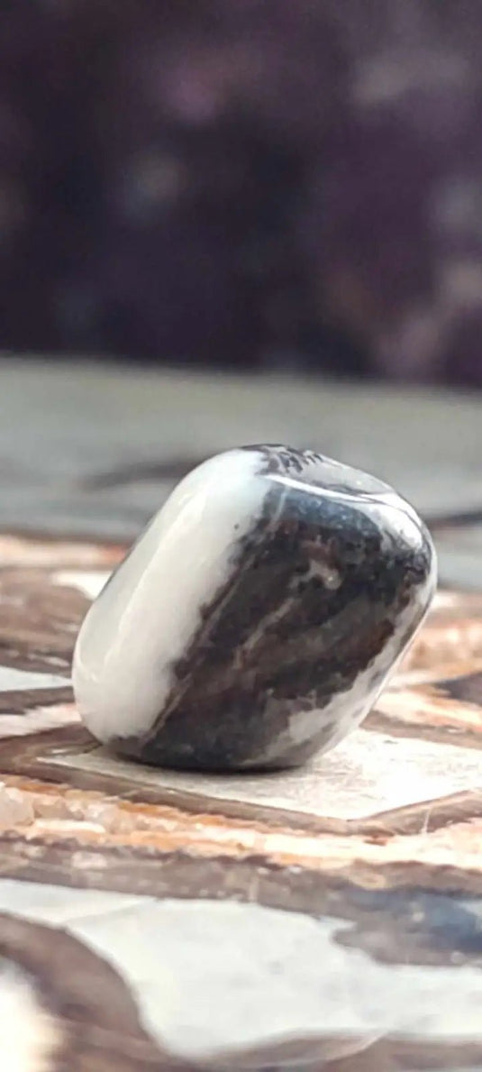 Jaspe zébré du Brésil pierre roulée Grade A++++ Jaspe Zèbre pierre roulée