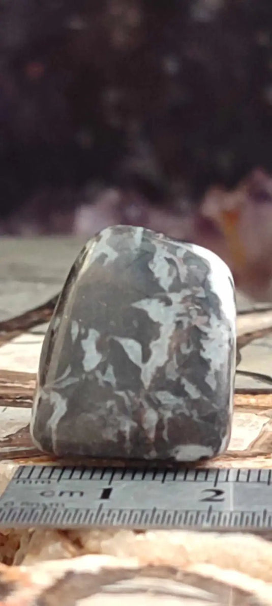 Jaspe zébré du Brésil pierre roulée Grade A++++ Jaspe Zèbre pierre roulée