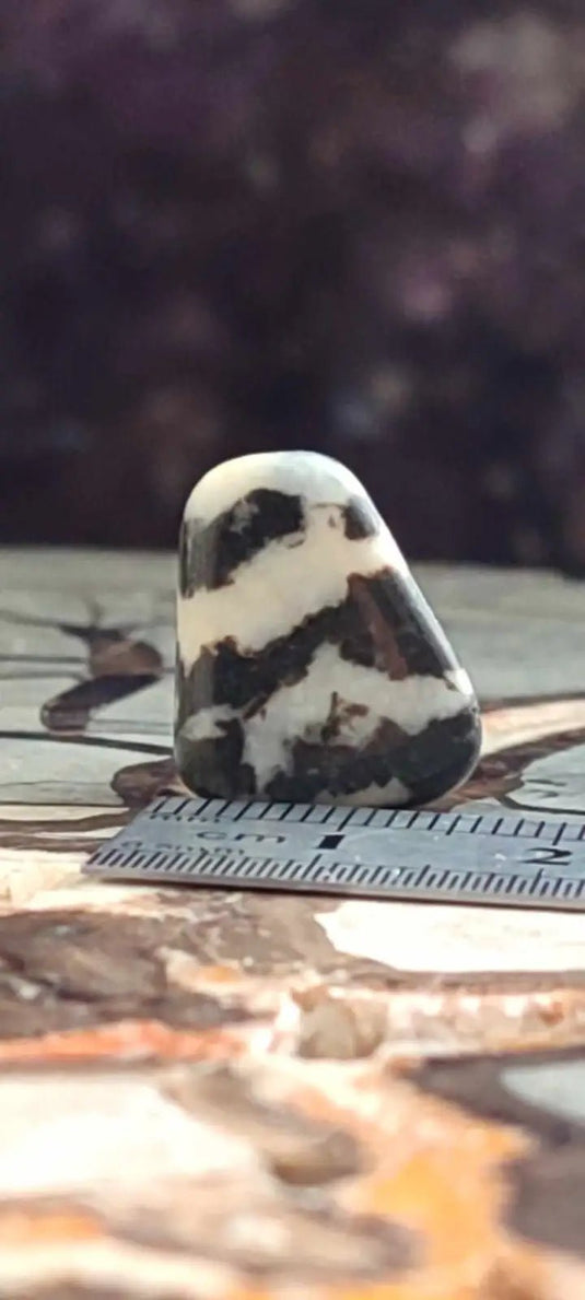 Jaspe zébré du Brésil pierre roulée Grade A++++ Jaspe Zèbre pierre roulée