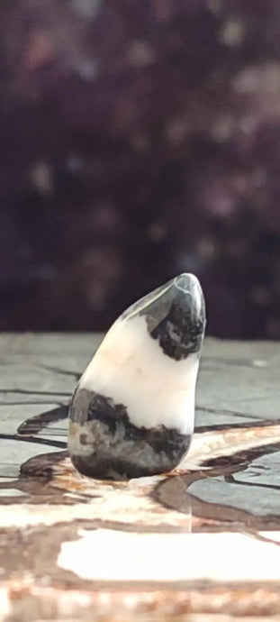 Jaspe zébré du Brésil pierre roulée Grade A++++ Jaspe Zèbre pierre roulée