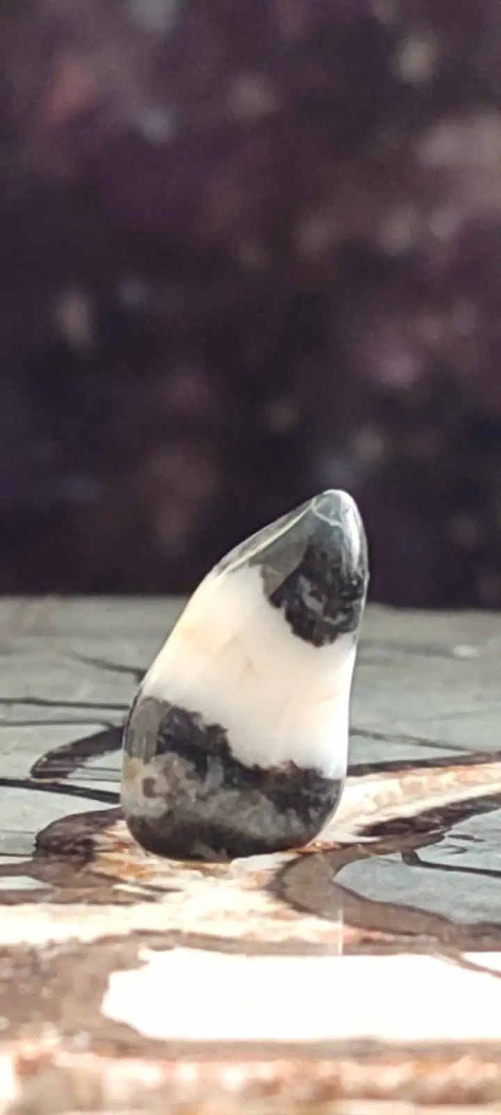 Load image into Gallery viewer, Jaspe zébré du Brésil pierre roulée Grade A++++ Jaspe Zèbre pierre roulée
