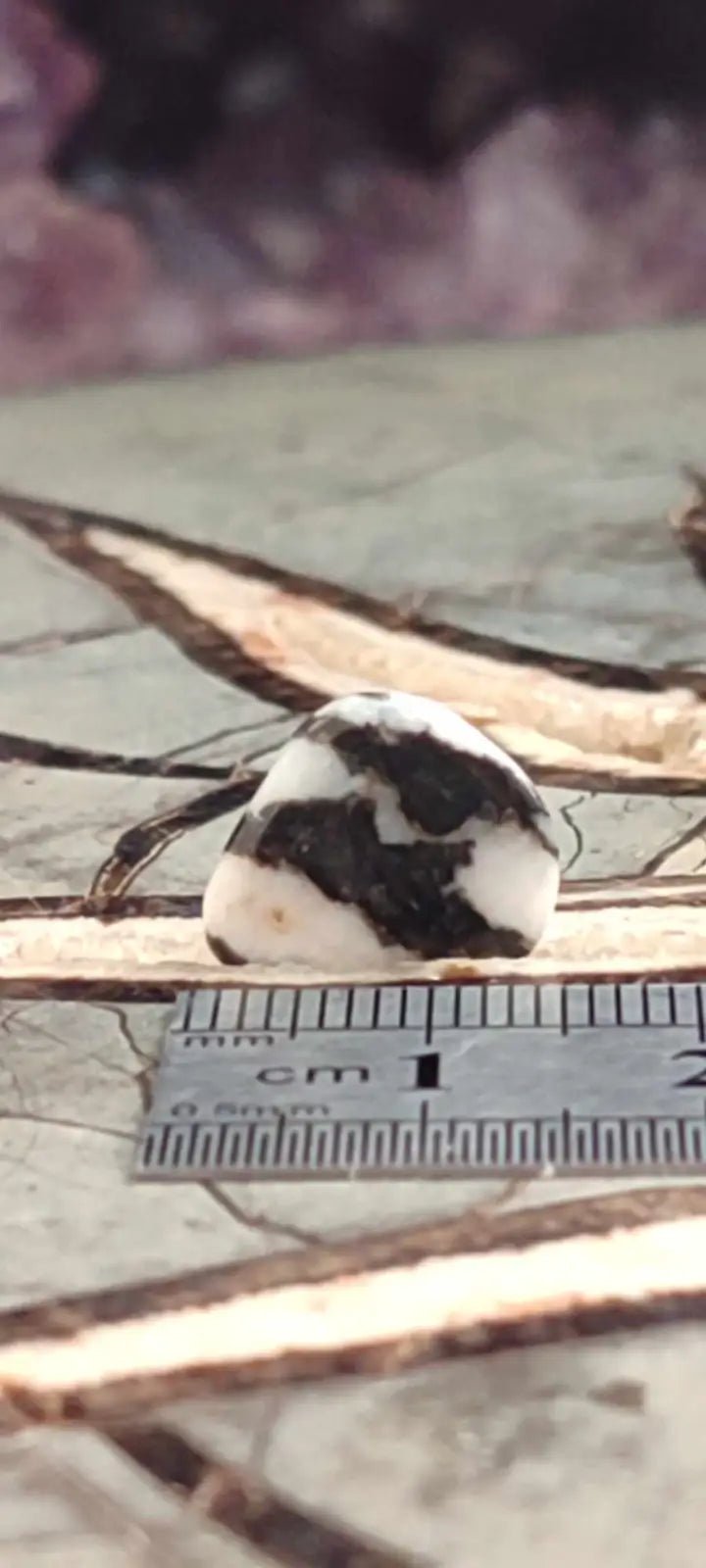 Load image into Gallery viewer, Jaspe zébré du Brésil pierre roulée Grade A++++ Jaspe Zèbre pierre roulée
