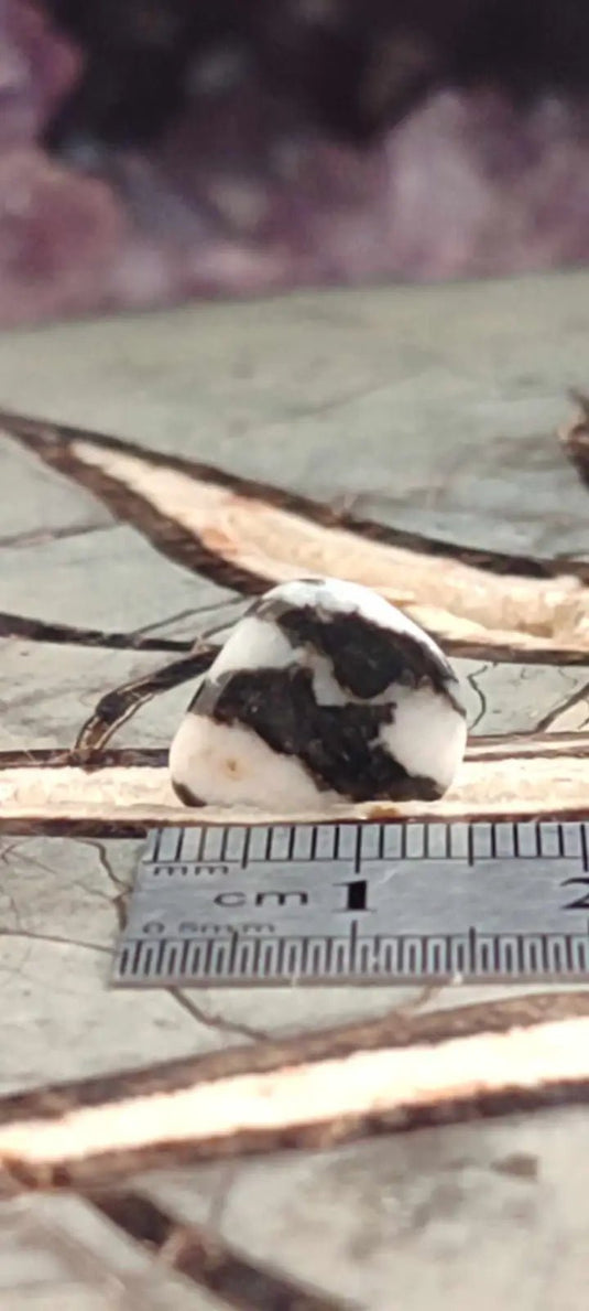 Jaspe zébré du Brésil pierre roulée Grade A++++ Jaspe Zèbre pierre roulée