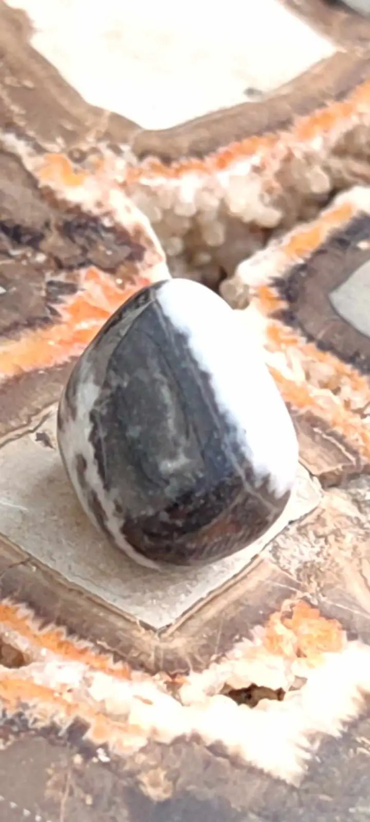 Load image into Gallery viewer, Jaspe zébré du Brésil pierre roulée Grade A++++ Jaspe Zèbre pierre roulée
