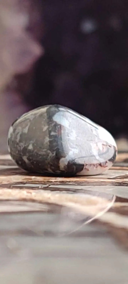 Jaspe Zébré du Brésil pierre roulée Grade A++++ Jaspe Zèbre pierre roulée