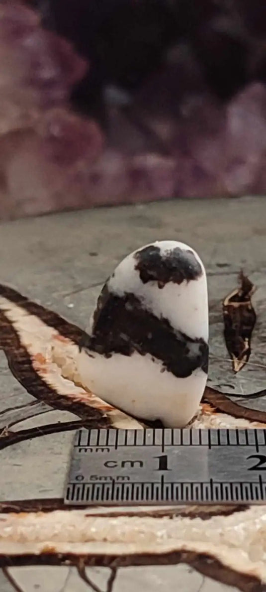 Jaspe zébré du Brésil pierre roulée Grade A++++ Jaspe Zèbre pierre roulée