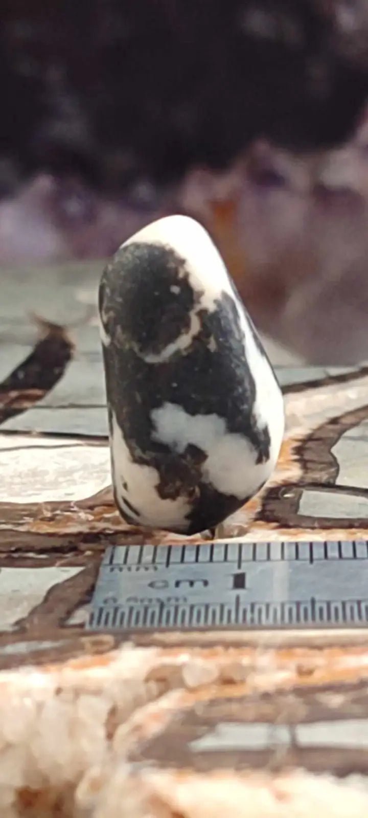 Load image into Gallery viewer, Jaspe zébré du Brésil pierre roulée Grade A++++ Jaspe Zèbre pierre roulée
