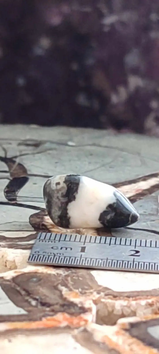 Jaspe zébré du Brésil pierre roulée Grade A++++ Jaspe Zèbre pierre roulée