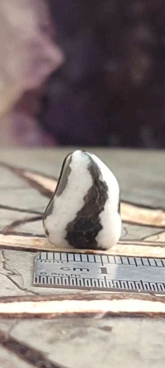 Jaspe zébré du Brésil pierre roulée Grade A++++ Jaspe Zèbre pierre roulée