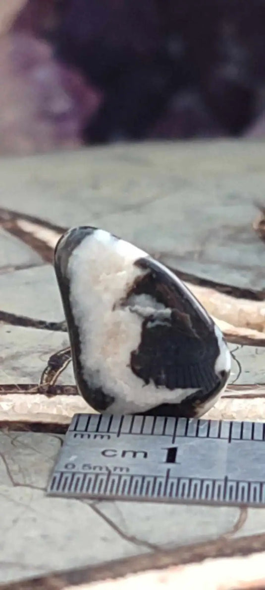 Jaspe zébré du Brésil pierre roulée Grade A++++ Jaspe Zèbre pierre roulée