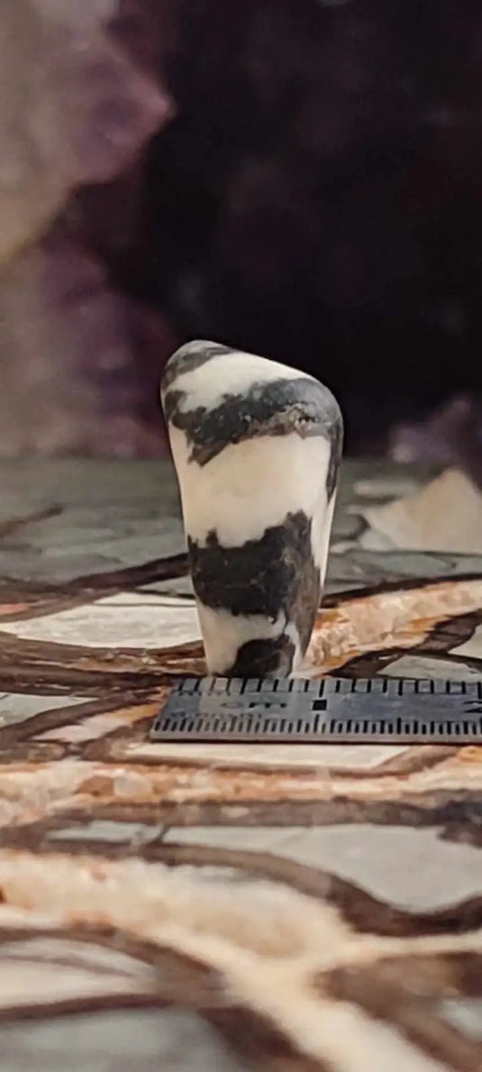 Jaspe zébré du Brésil pierre roulée Grade A++++ Jaspe Zèbre pierre roulée