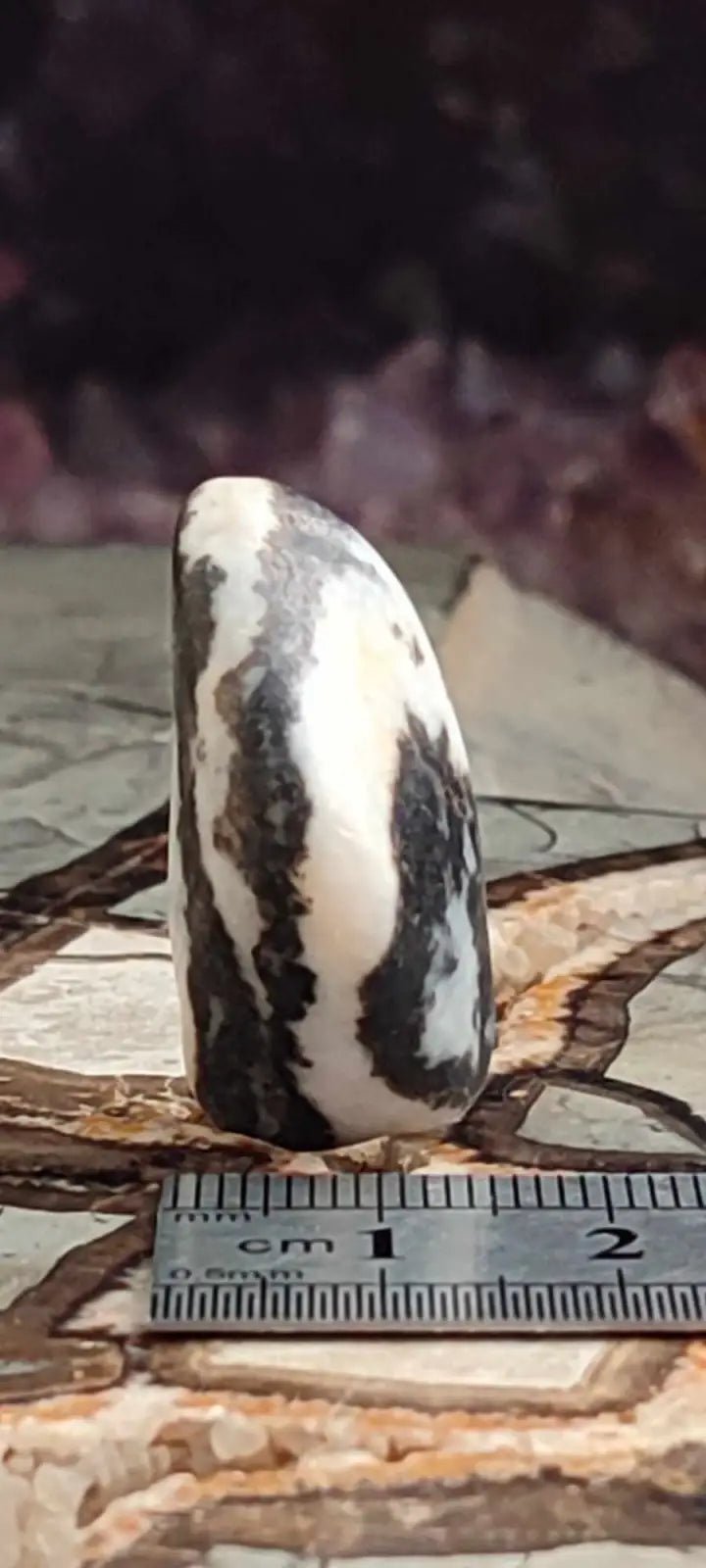 Load image into Gallery viewer, Jaspe zébré du Brésil pierre roulée Grade A++++ Jaspe Zèbre pierre roulée
