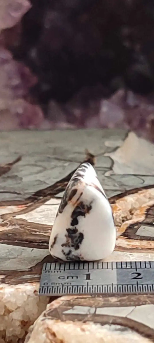 Jaspe zébré du Brésil pierre roulée Grade A++++ Jaspe Zèbre pierre roulée