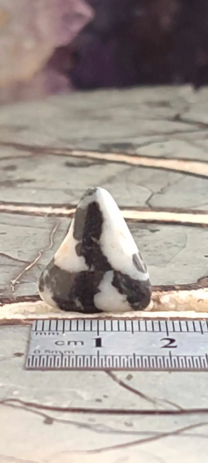 Load image into Gallery viewer, Jaspe zébré du Brésil pierre roulée Grade A++++ Jaspe Zèbre pierre roulée
