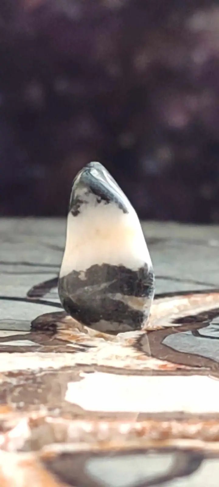 Load image into Gallery viewer, Jaspe zébré du Brésil pierre roulée Grade A++++ Jaspe Zèbre pierre roulée
