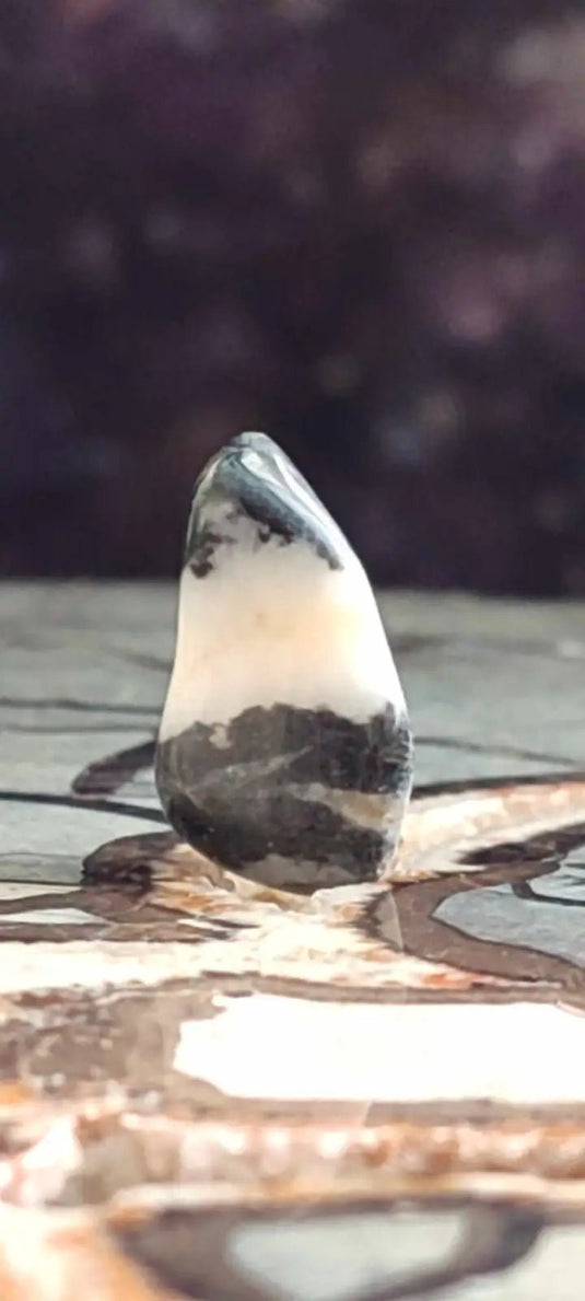 Jaspe zébré du Brésil pierre roulée Grade A++++ Jaspe Zèbre pierre roulée