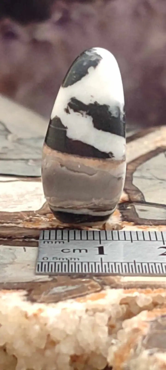 Jaspe zébré du Brésil pierre roulée Grade A++++ Jaspe Zèbre pierre roulée