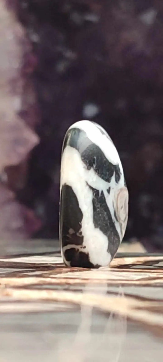 Jaspe zébré du Brésil pierre roulée Grade A++++ Jaspe Zèbre pierre roulée