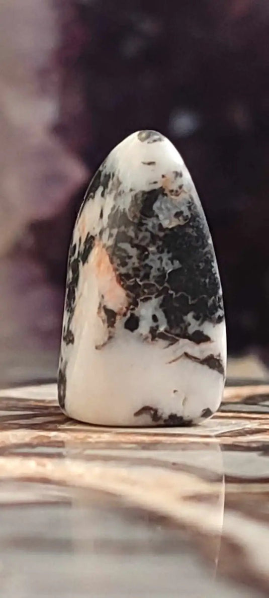 Jaspe zébré du Brésil pierre roulée Grade A++++ Jaspe Zèbre pierre roulée