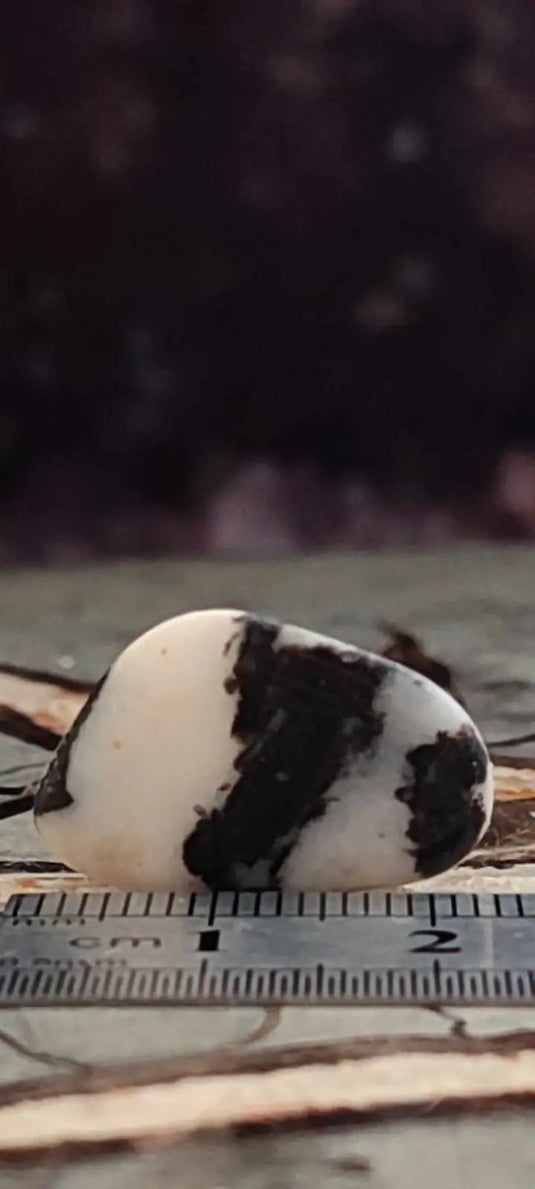 Jaspe zébré du Brésil pierre roulée Grade A++++ Jaspe Zèbre pierre roulée